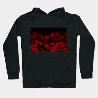 Surreal Forest Hoodie